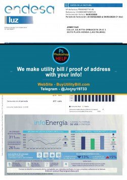 Spain Power Utility Bill Sample